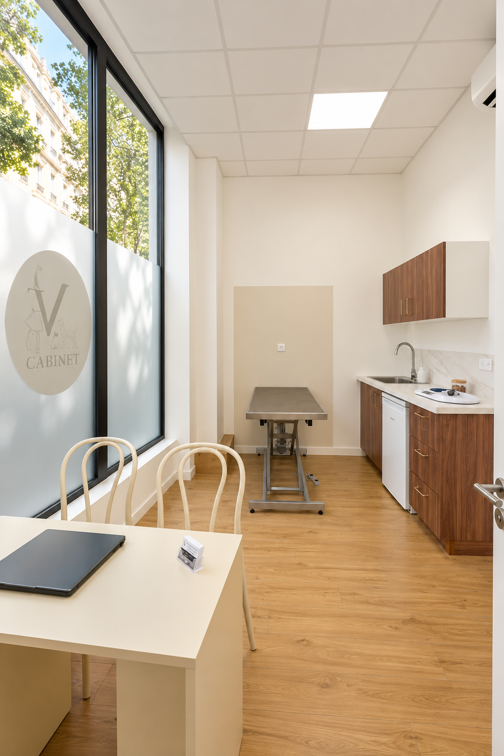 salle de consultation vétérinaire Gambetta