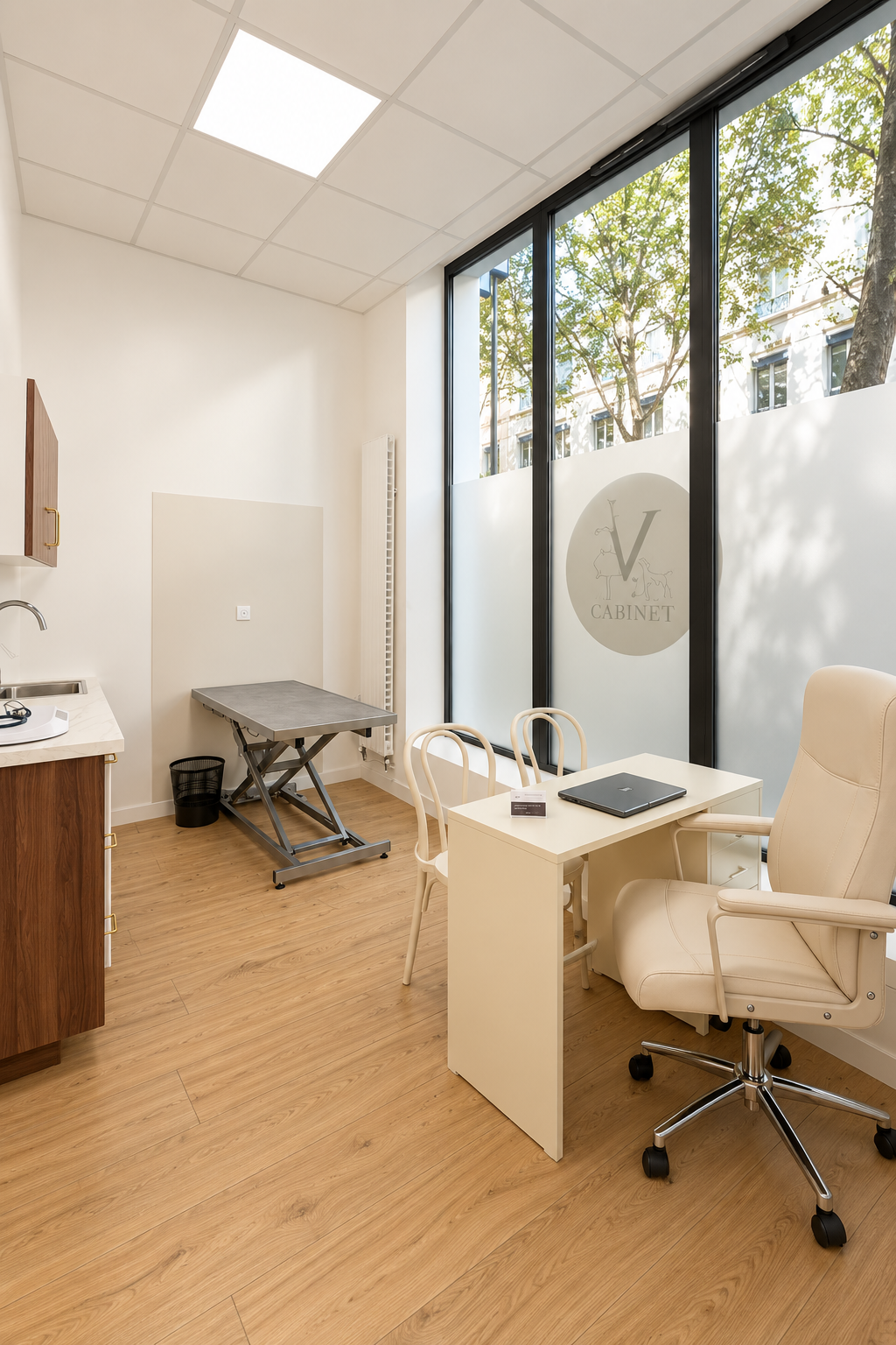 salle de consultation vétérinaire Gambetta
