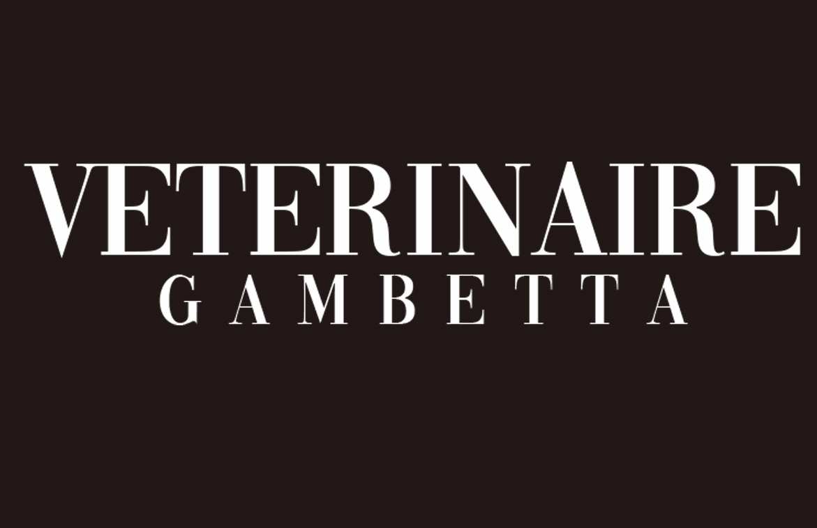 veterinairegambetta